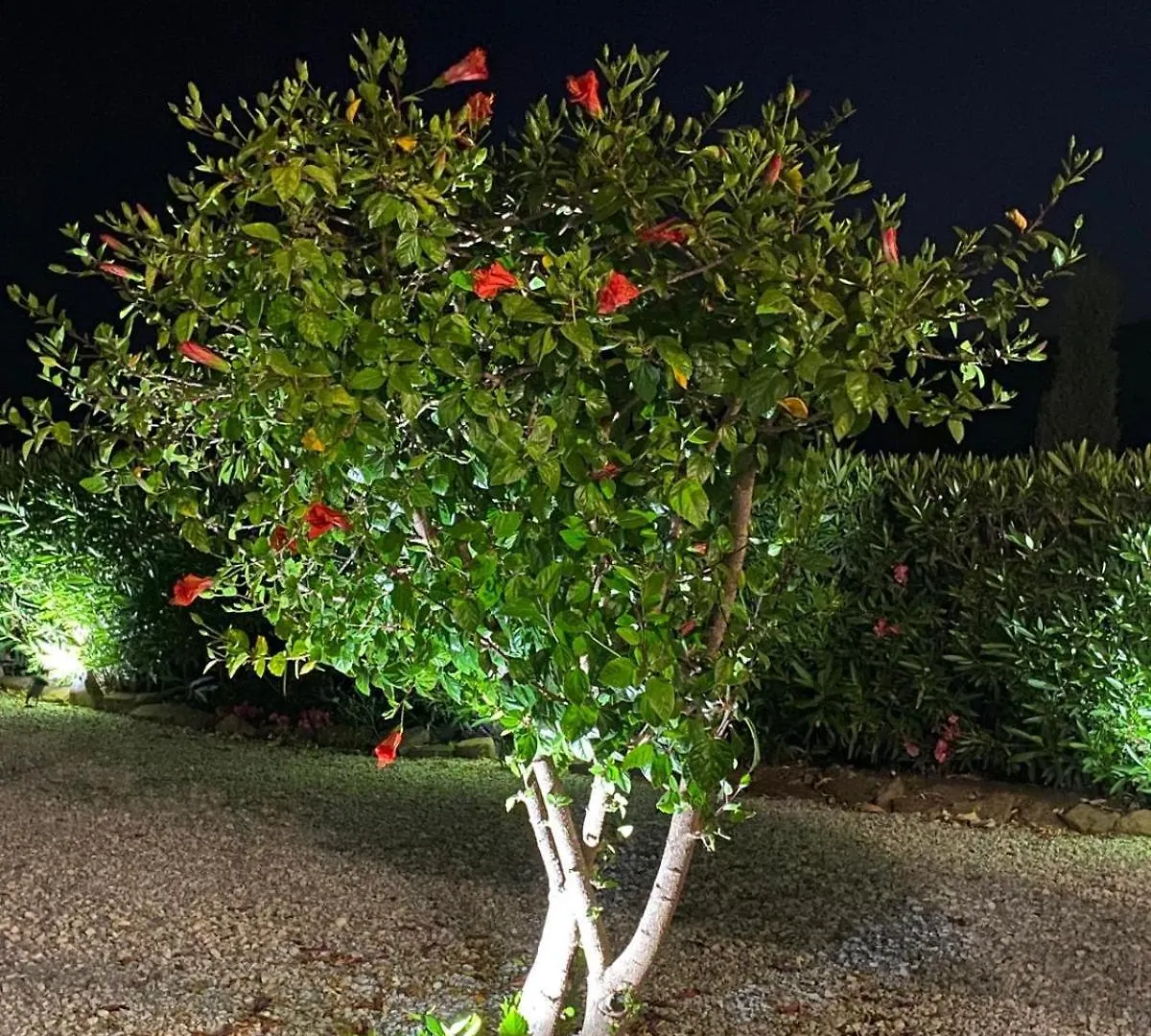 Finca Angelita Torrox Holiday home